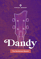 dandy 2 packaging l