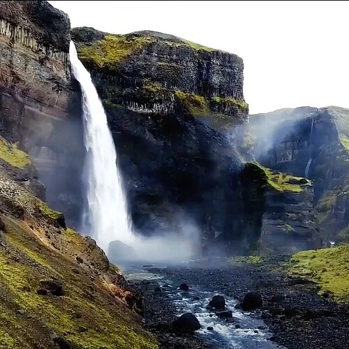 Nature documentary desktop mobile