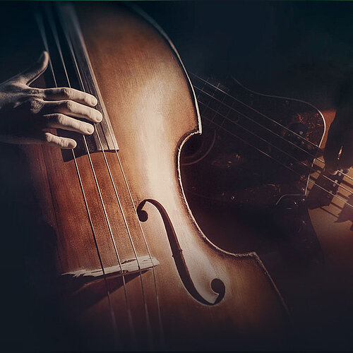 virtual bassist introduction mobile