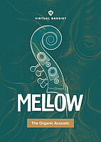virtual bassist mellow packaging l