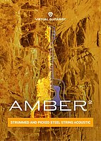 vg amber2 packaging l
