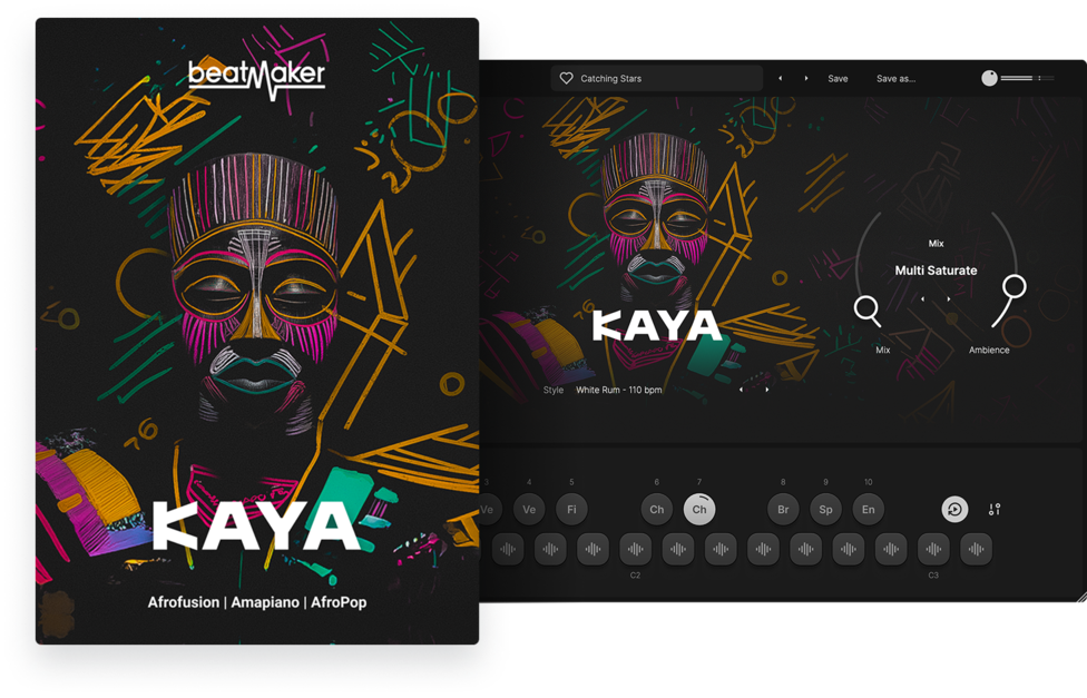 bm kaya introduction