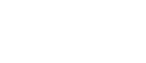 Finisher Micro Logo